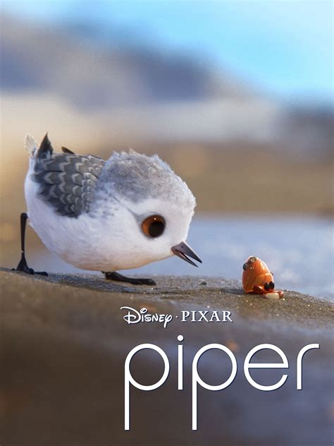 Piper 2016 Rotten Tomatoes