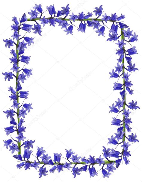 Se non trovate la risoluzione esatta che stai cercando, poi per originale (1920x1358) o con risoluzione superiore che possono adatta perfettamente al. cornice fiori blu — Foto Stock © jekaterina.k #26333815
