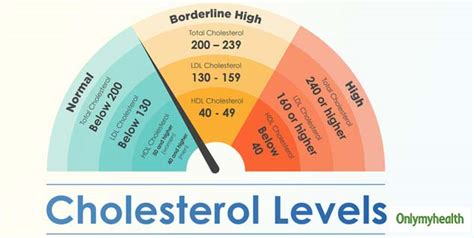 6 Important Things You Need To Know About Your Cholesterol Levels