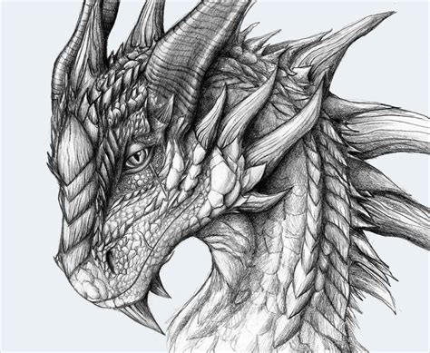 21 Realistic Dragon Drawings Free And Premium Creatives