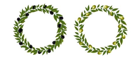 Premium Vector Two Olives Wreath Isolated White