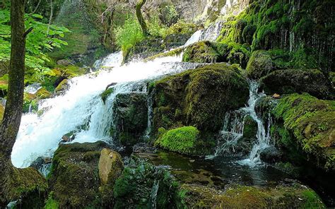 Hd Wallpaper Waterfall Jungle Forest Rocks Stones Moss Hd Nature