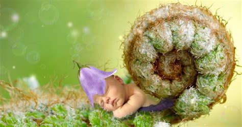 Understanding Newborn Sleep Patterns Do Newborns Dream