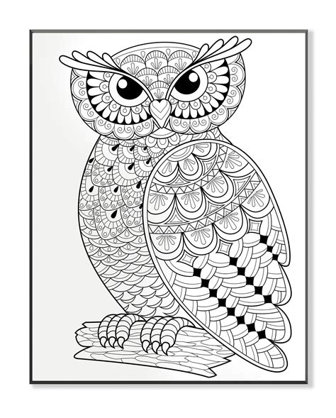 Stupell Industries Diy Coloring Wall Plaque Wise Owl On A Log Graphic