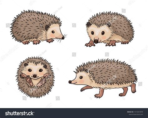 Cute Hedgehogs Vector Illustration Eps8 Image Vector Hedgehog Drawing