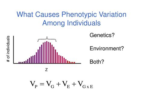 Ppt Quantitative Genetics Powerpoint Presentation Free Download Id