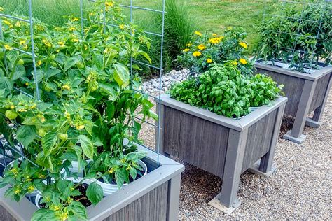 Diy 5 Gallon Bucket Planters How To Grow A Garden Anywhere