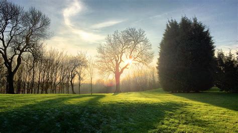 Free Images Tree Nature Forest Grass Outdoor Light Sunshine Lawn Meadow Countryside