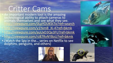 Marine Biology Vs Oceanography Youtube