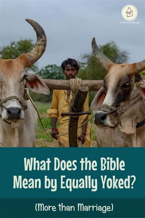 What Does The Bible Mean By Equally Yoked