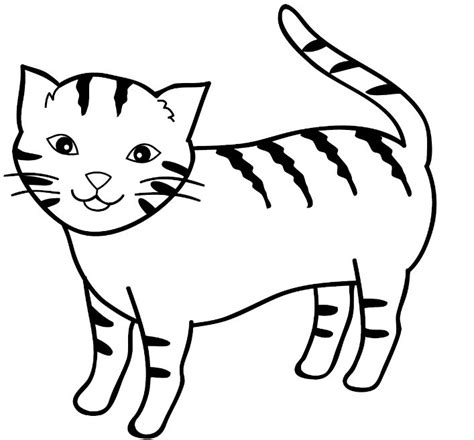 Latihan mewarnai penuh semangat hasilnya lumayan gaays. Belajar Mewarnai Gambar Kucing - Bagi Info