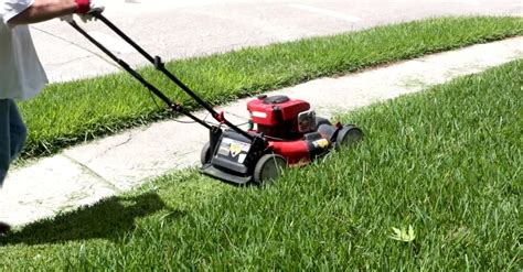 How To Get Rid Of Crabgrass 4 Easy Steps To Kill Crabgrass