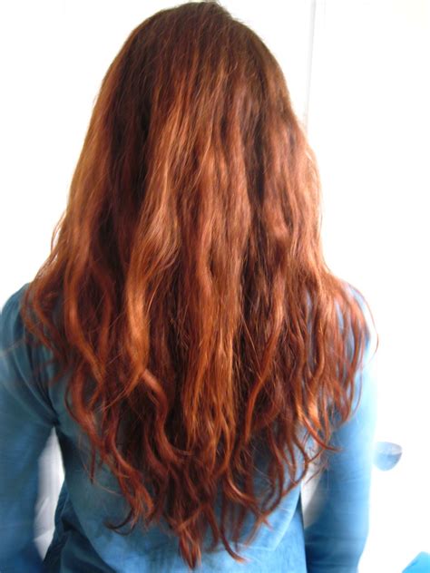 Danielles Hair After Coloring With Light Mountain Naturals Henna