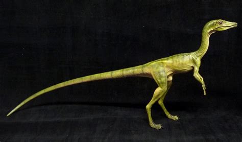 Compsognathus Wikia Jurassic Park Fandom Powered By Wikia