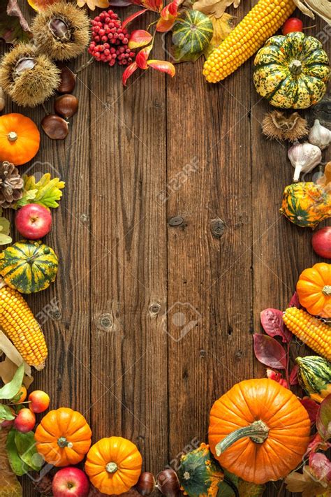 Harvest Wallpaper Backgrounds Autumn Harvest Photography Abstract