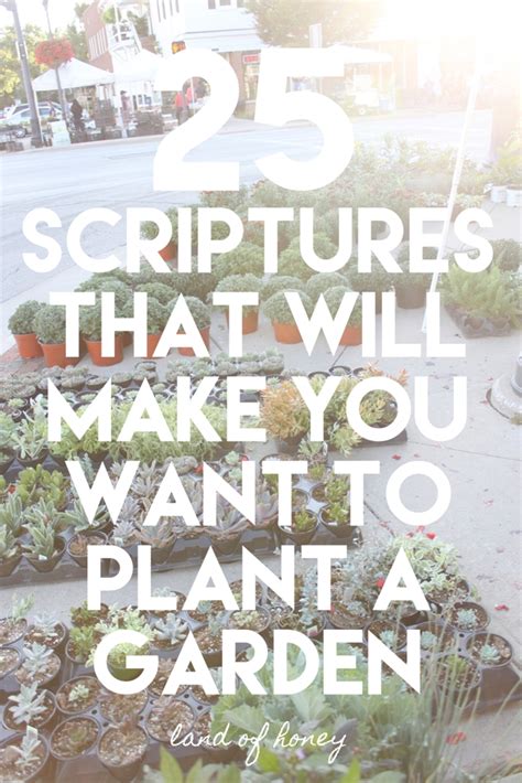 Land Of Honey 25 Scriptures That Will Make You Want To Garden