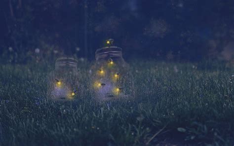 Fireflies Fantasy Firefly Jar Night Grass Hd Wallpaper Peakpx