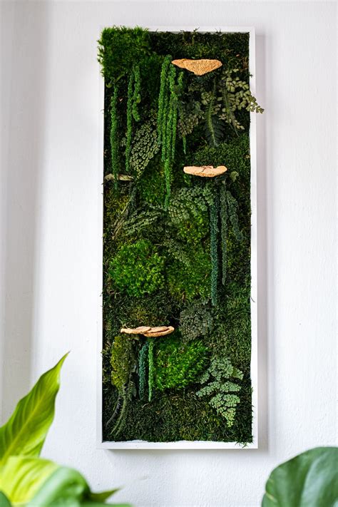20 Moss Wall Art Diy Homyhomee