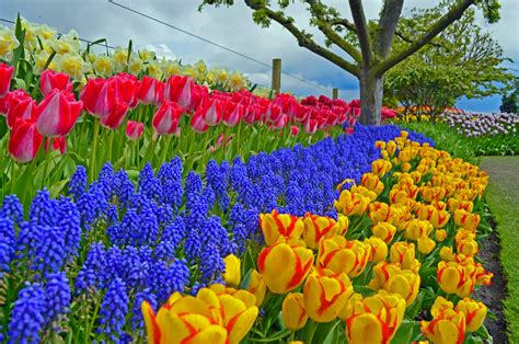 Fondos De Pantalla De Primavera Imágenes Primaverales En Hd