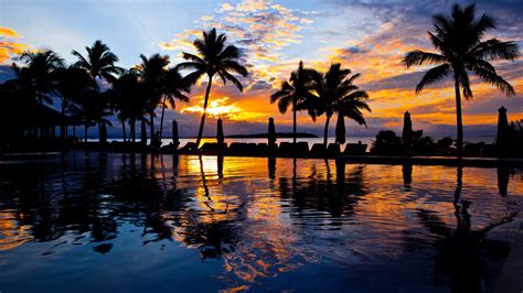 Wallpaper Palm Trees Pool Water Sea Resort Sunset Evening