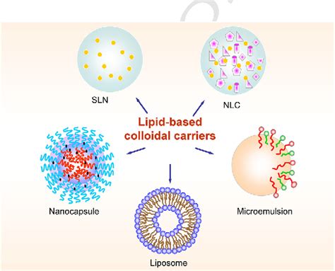 Figure 1 From Advances In Lipid Based Colloid Systems As Drug Carrier