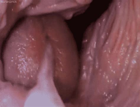 Penis Inside Vagina Cum