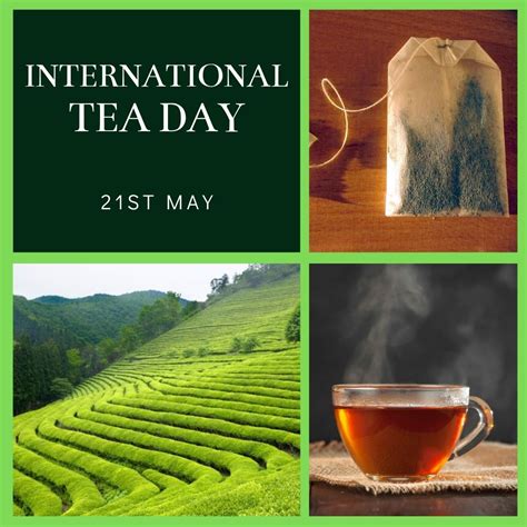 चाय बनाने की परफेक्ट विधि. International Tea Day 2021 | Eventlas