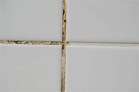 Here are eight easy steps to regrout ceramic bathroom tiles. Regrouting Tile - Top Tips - Bob Vila
