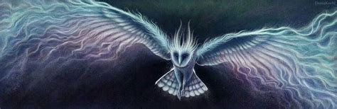 Mystic Owl My Fantasy World Fantasy Art Wise Owl Ogre Elves