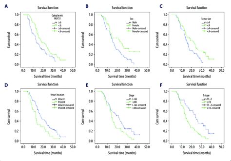 Kaplan Meier Curves For Overall Survival Of Patients With Pancreatic