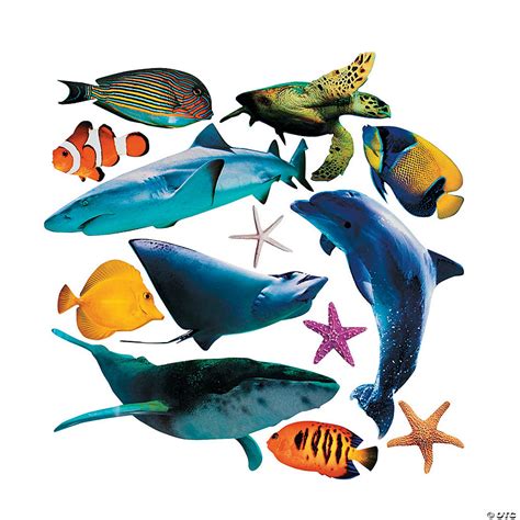 Jumbo Realistic Sea Life Cutouts Oriental Trading