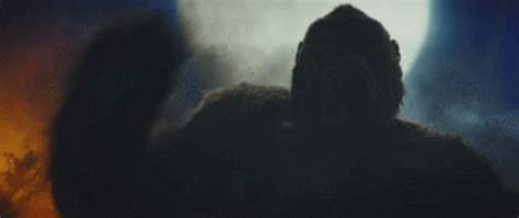 Looking for the best wallpapers? King Kong Vs Godzilla Gif : Best King Kong Vs Godzilla ...
