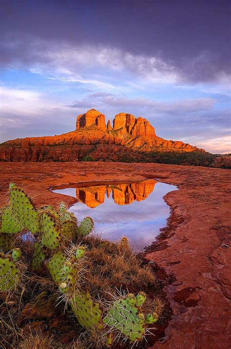Cathedral Rocks Sedona Arizona Usa By Theresa Ditson Desert
