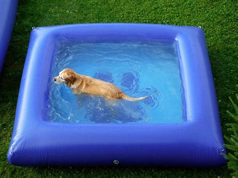 10 Best Deep Dog Pools For Your Pups Summer Fun Reviewed And Ranked