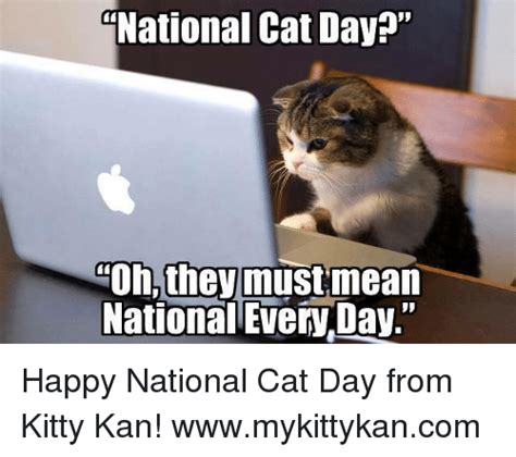 National Cat Day Oh Theymustmean National Every Day Happy National Cat