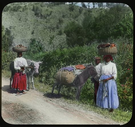 out of many one people jamaica in the 1890s in pictures jamaica history jamaican culture