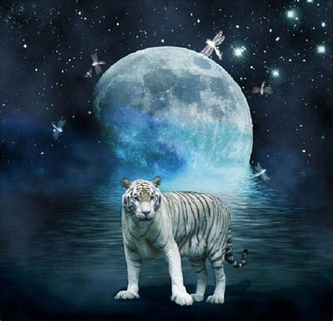 1920x1080px 1080p Free Download Tiger Moon Abstract Tiger Moon
