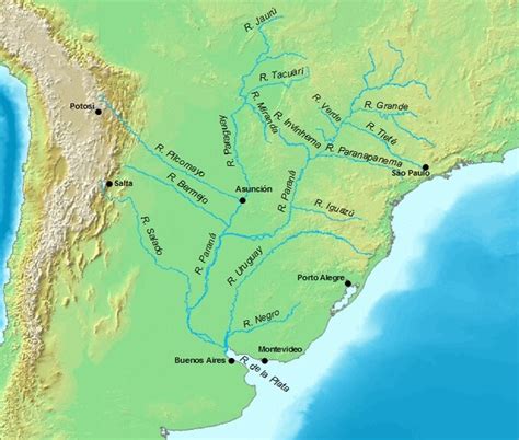 Río De La Plata Características Recorrido Flora Fauna