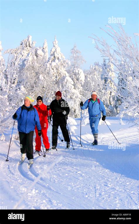 Cross Country Skiers Trekking In Kuusamo Finland Stock Photo Alamy