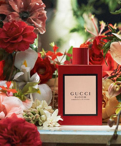 Rangoon creeper, a plant that changes color when it blooms, infuses the scent with a powdery, floral edge. Gucci Bloom Ambrosia di Fiori Gucci parfum - un nouveau ...