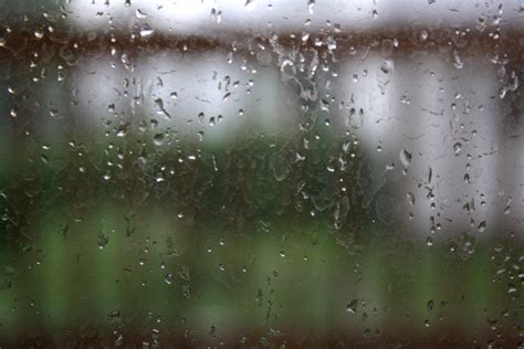 Raindrops On Window Pane Picture Free Photograph Photos Public Domain