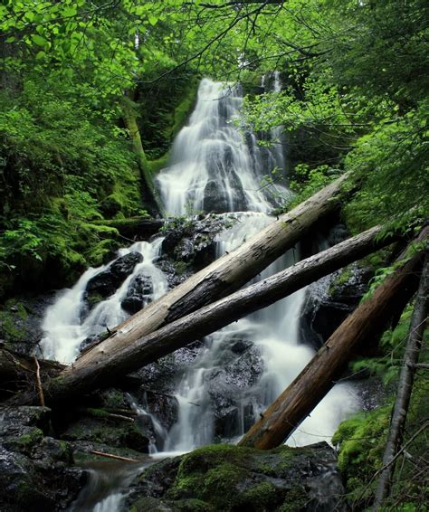 The Hidden Waterfalls Of The Ford Pinchot Forest Smithsonian Photo
