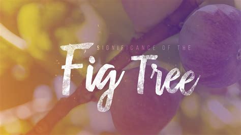 What Is The Biblical Significance Of The Fig Tree Youtube