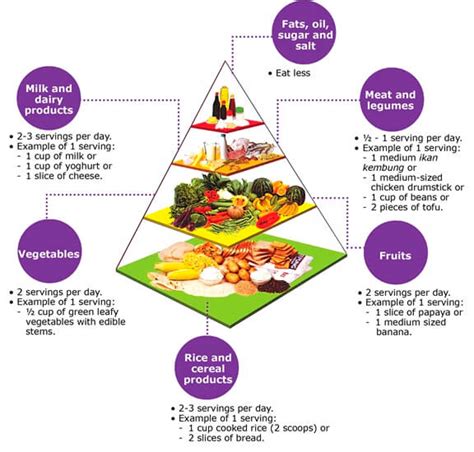 Food Pyramid And Balanced Nutrition Pediasure® Malaysia