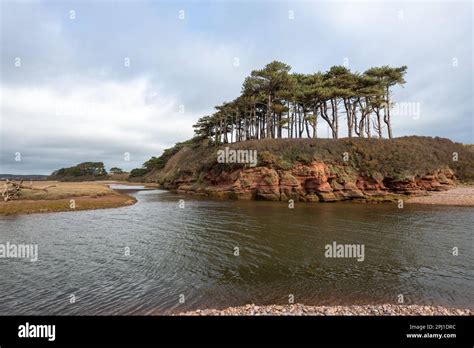 The Mouth Of The River Otter In Budleigh Salterton In Devon Stock Photo Alamy