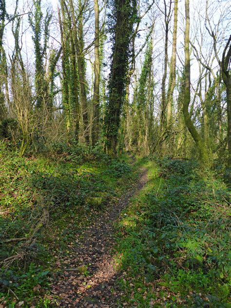 Photographs Of Priory Wood Nature Reserve Monmouthshire Wales Path