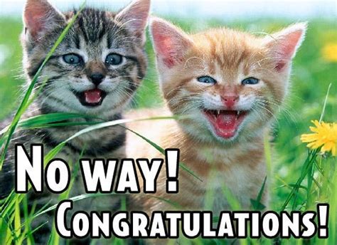 Where can i find a good congratulations picture? Congratulations Quotes & Sayings | Congratulations Picture ...