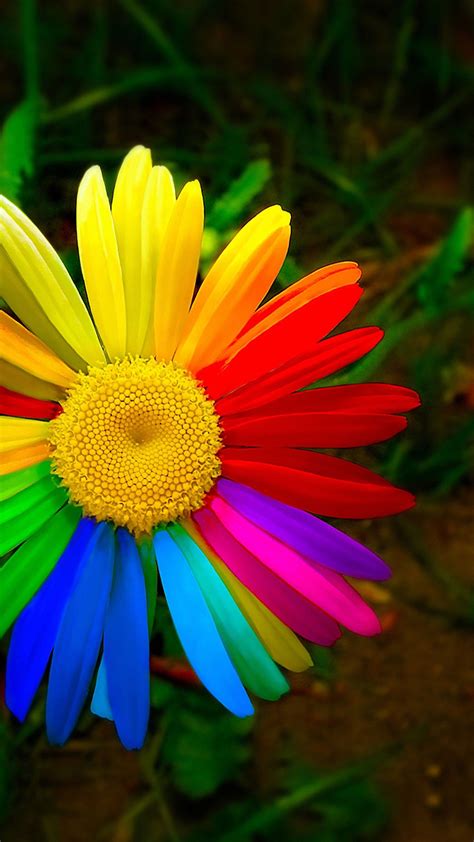 Free download 4k ultra hd phone wallapers for your smart mobile phone and tablet. Mobile Wallpaper HD