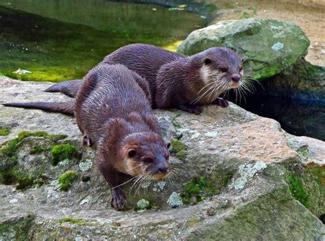 Zoologischer Garten (Berlin Zoo) - Foto de Berlin ...