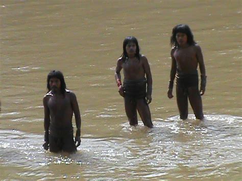 文明と接触したことのない原住民「イゾラド」を初めて撮影したnスペがすごいことに！ クーリエ・ジャポン